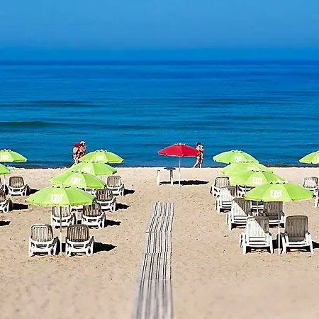 Mida Scoglitti