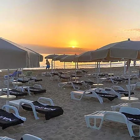 Mida Scoglitti